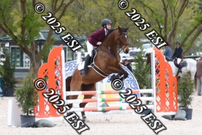207MJC_0424
