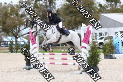 207MJC_0428