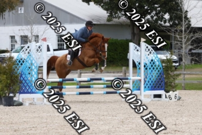 207MJC_0431
