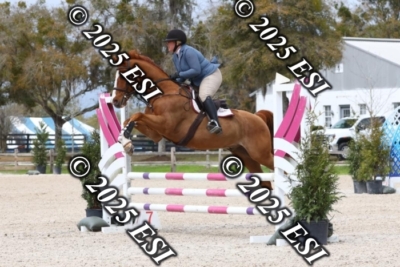 207MJC_0434