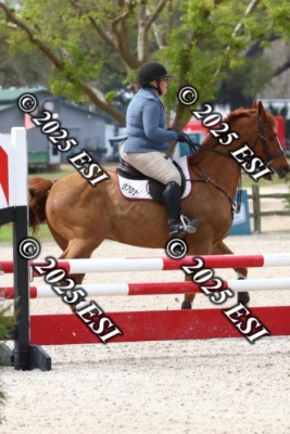 207MJC_0435