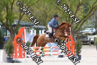 207MJC_0436