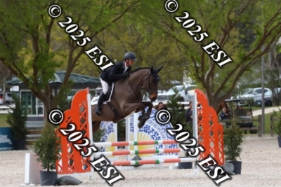 207MJC_0440