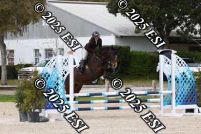207MJC_0446