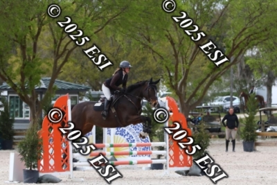 207MJC_0447