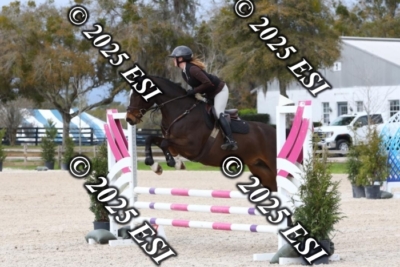 207MJC_0448