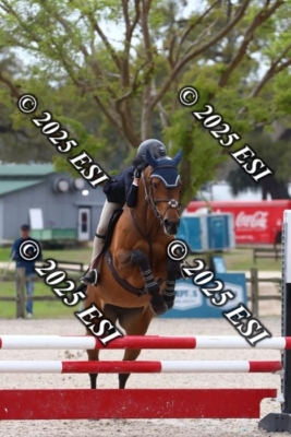 207MJC_0455