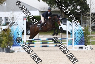 207MJC_0458