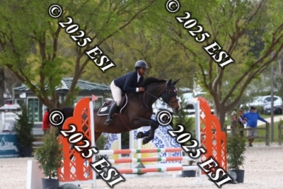 207MJC_0459