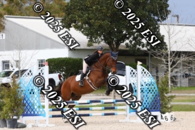 207MJC_0464