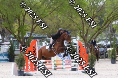 207MJC_0465