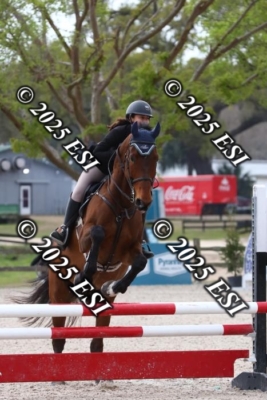207MJC_0467