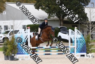 207MJC_0470