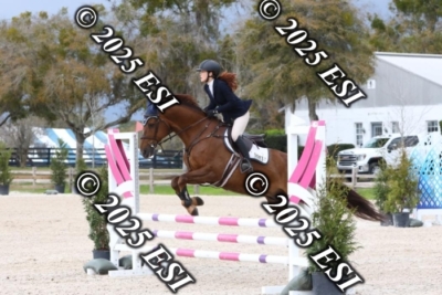 207MJC_0472