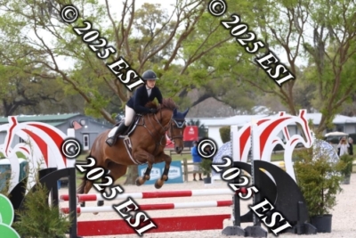207MJC_0474