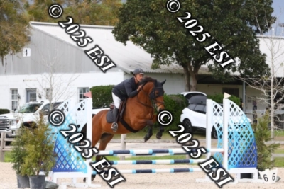 207MJC_0477
