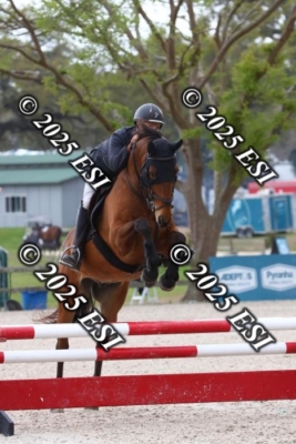 207MJC_0480