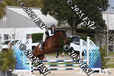 207MJC_0483
