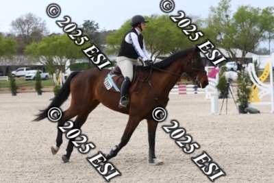 207MJC_0487