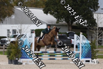 207MJC_0494