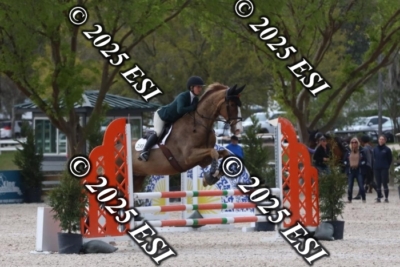 207MJC_0495