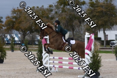 207MJC_0496