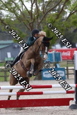 207MJC_0497
