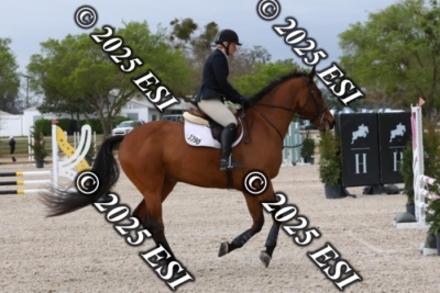 207MJC_0503