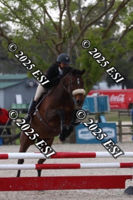 207MJC_0510