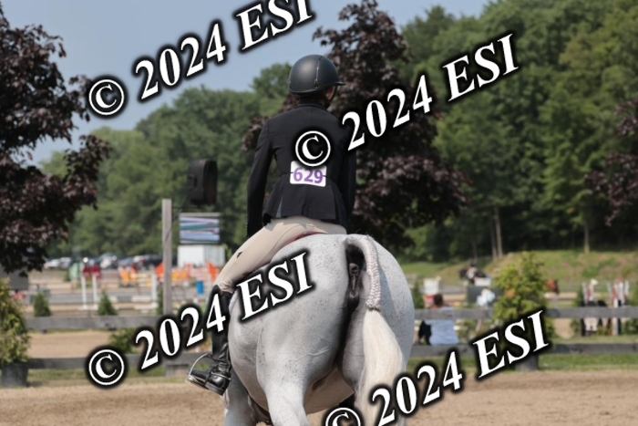 105SC1_1379