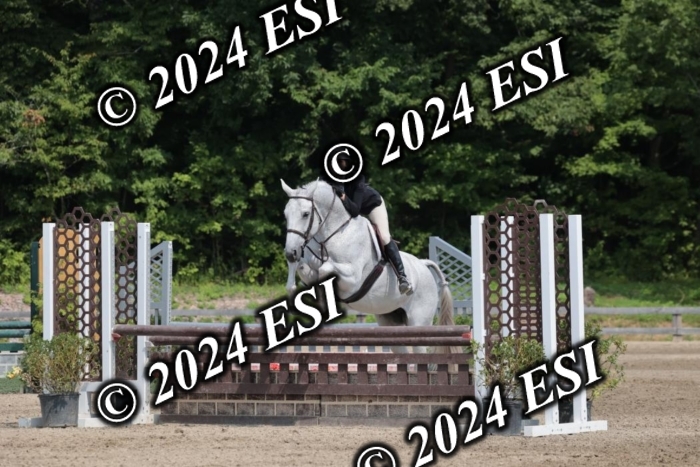 105SC1_1384