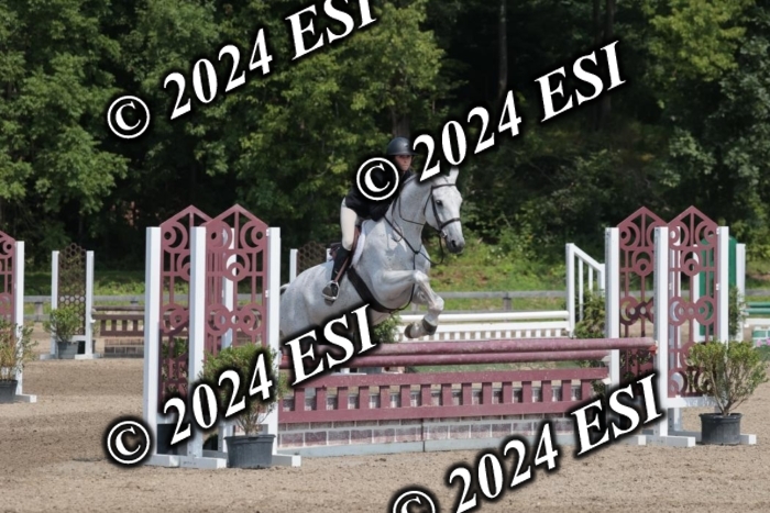105SC1_1387