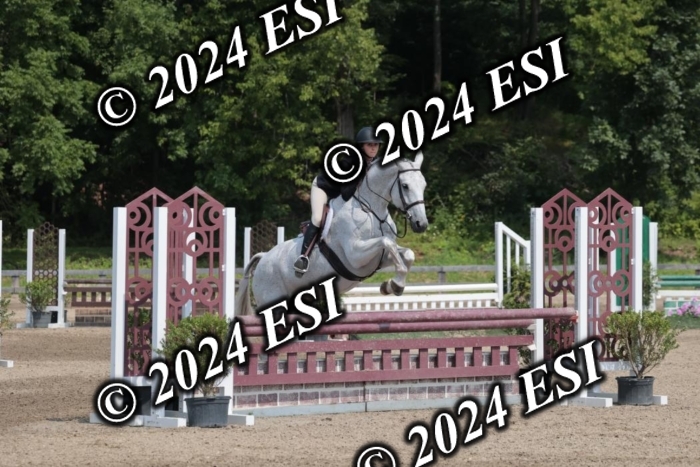 105SC1_1388