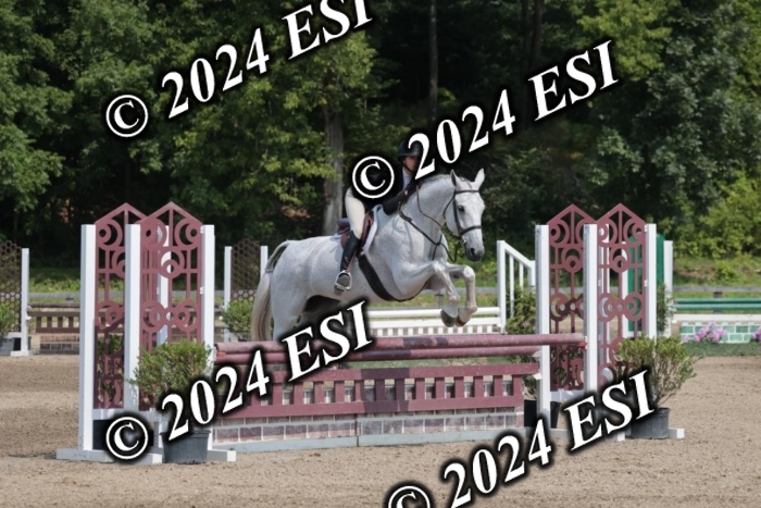 105SC1_1390