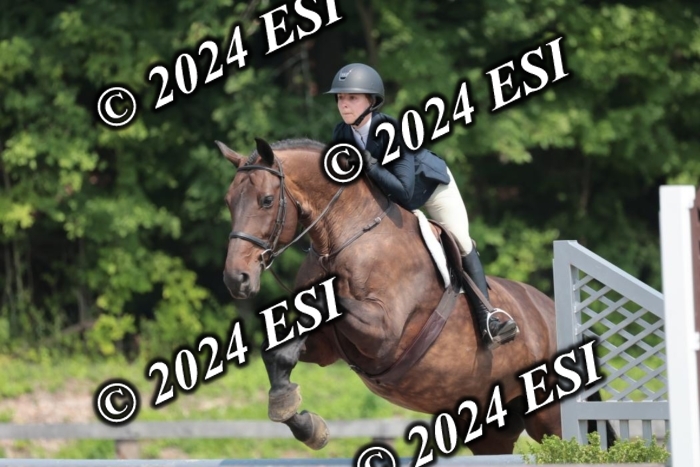 105SC1_1396