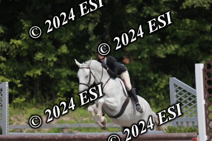 105SC1_1419