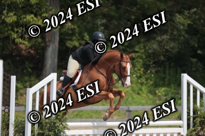 105SC1_1438