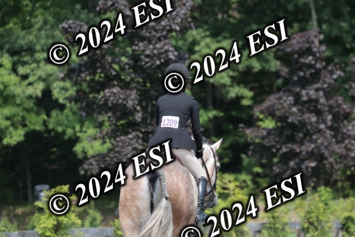 105SC1_1454