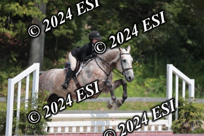 105SC1_1459