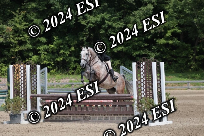 105SC1_1466