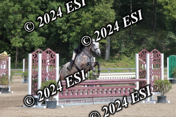 105SC1_1471