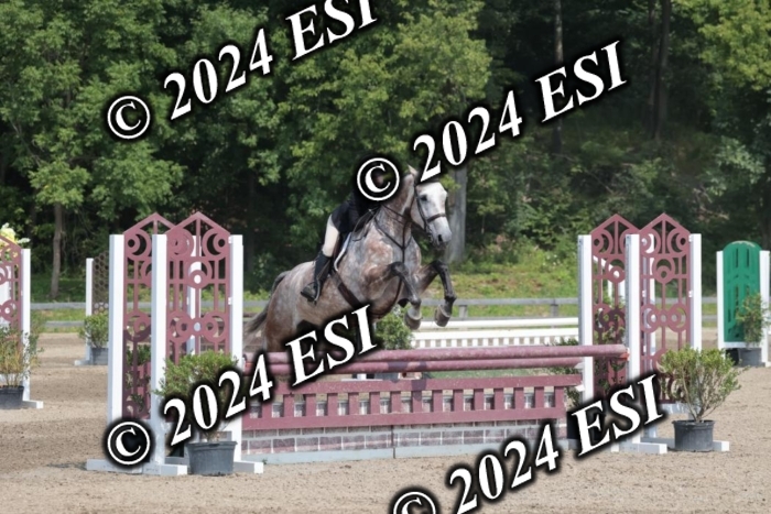 105SC1_1472