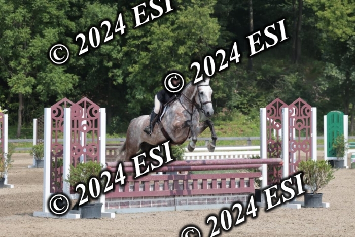 105SC1_1473
