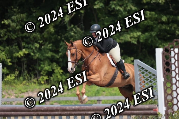 105SC1_1478