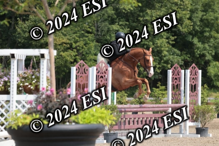 105SC1_1486