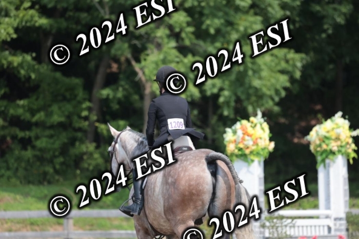 105SC1_1497