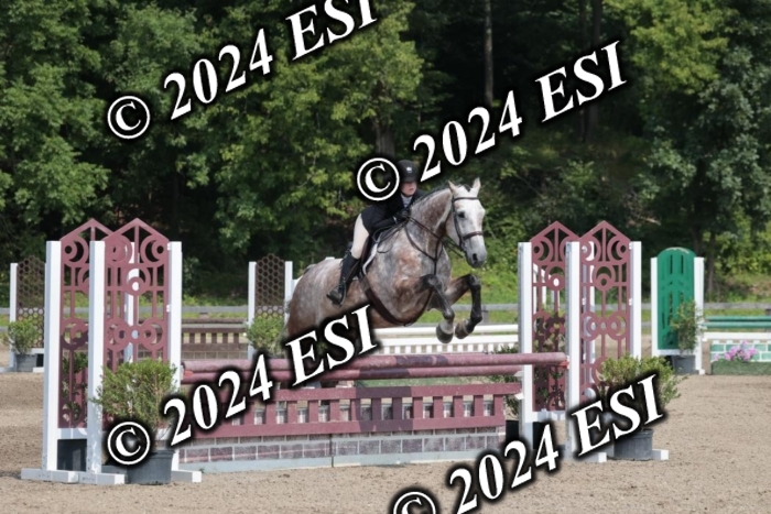 105SC1_1510