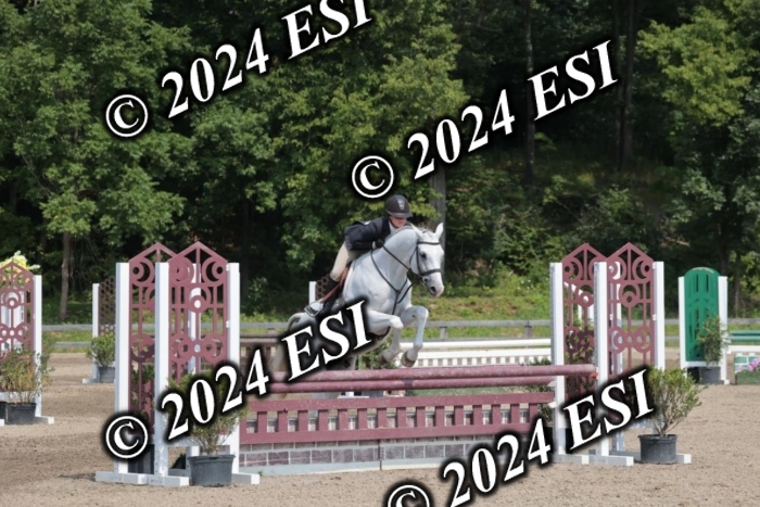 105SC1_1529