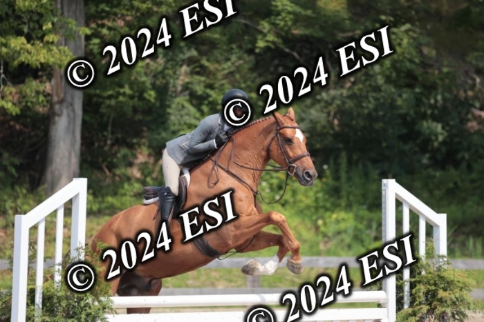 105SC1_1534