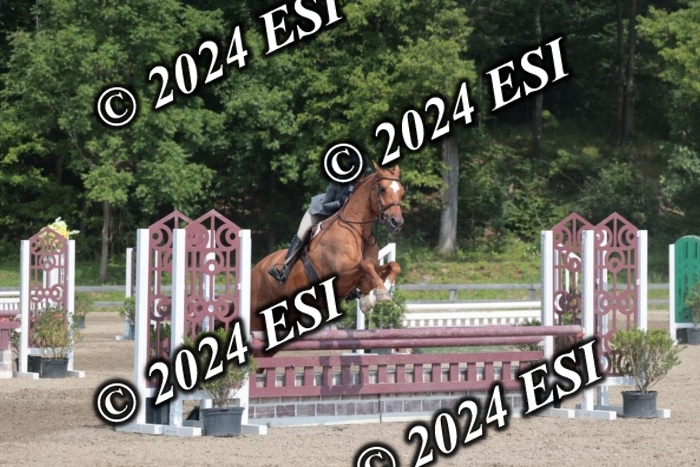 105SC1_1546